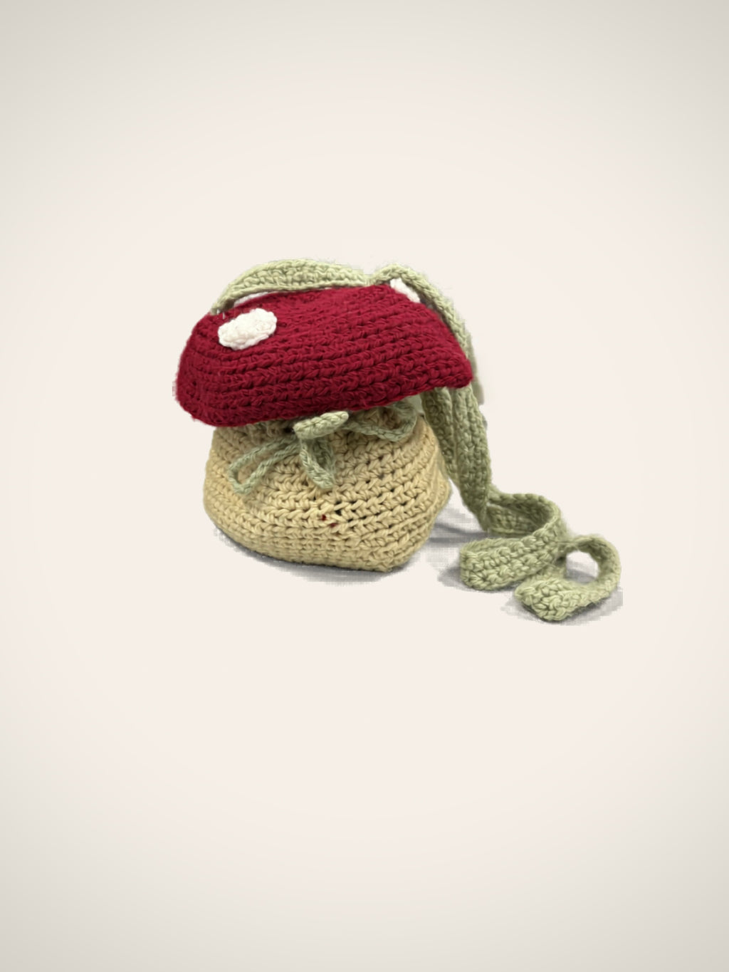 Lil' Shroom Crochet Bag ✨Made to Order✨